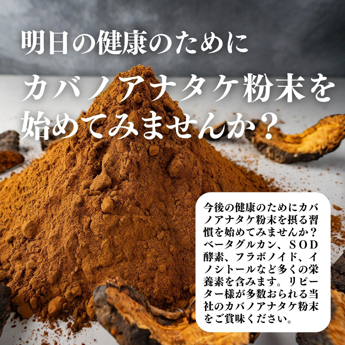 カバノアナタケ粉末 500g カバノアナタケ茶 チャーガ茶 チャガ茶 送料無料 : free-541 : 青汁・健康粉末の健康生活研究所 - 通販 -  Yahoo!ショッピング