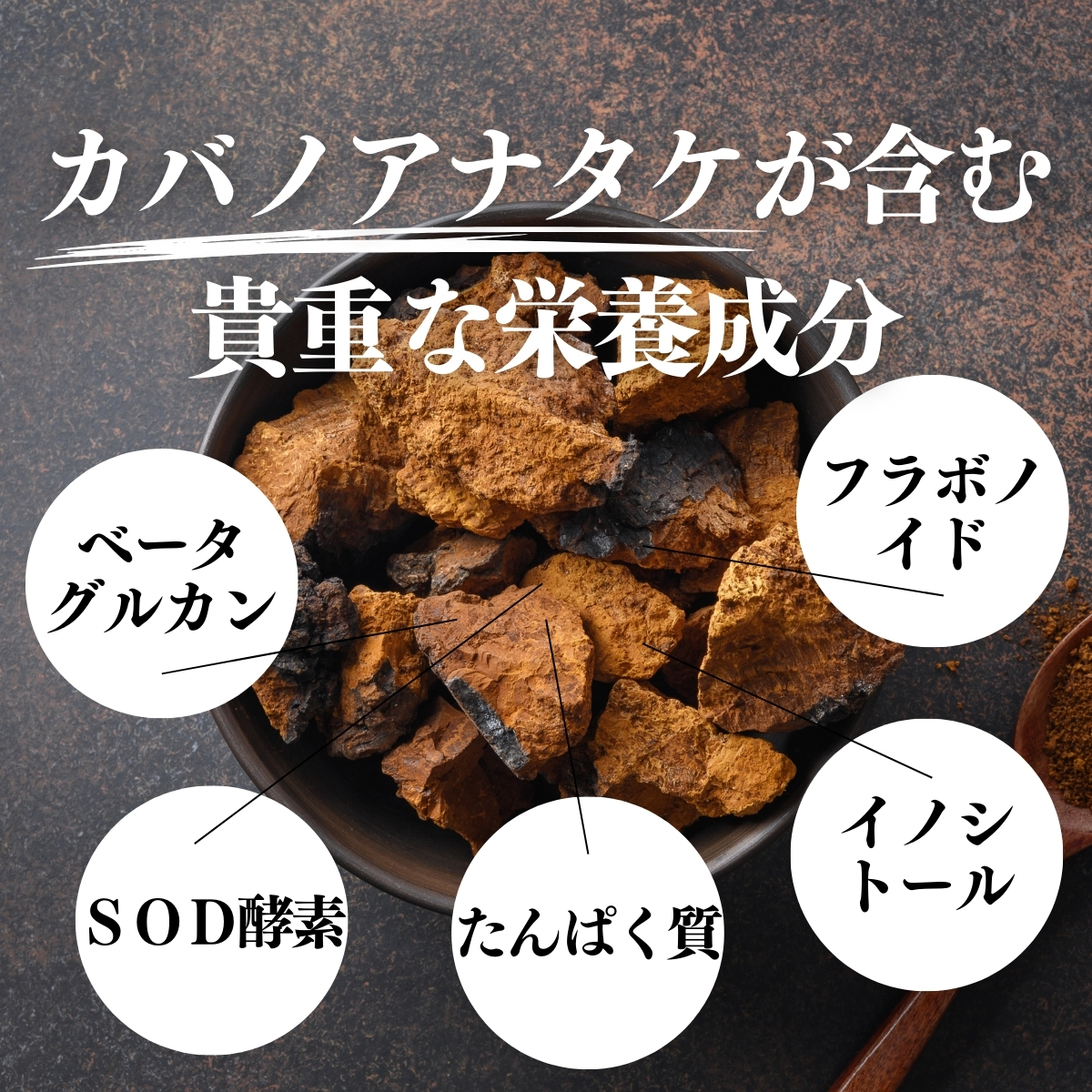 買い誠実 自然健康社 チャーガ カバノアナタケ茶 500g カバノアナタケ粉末 その他