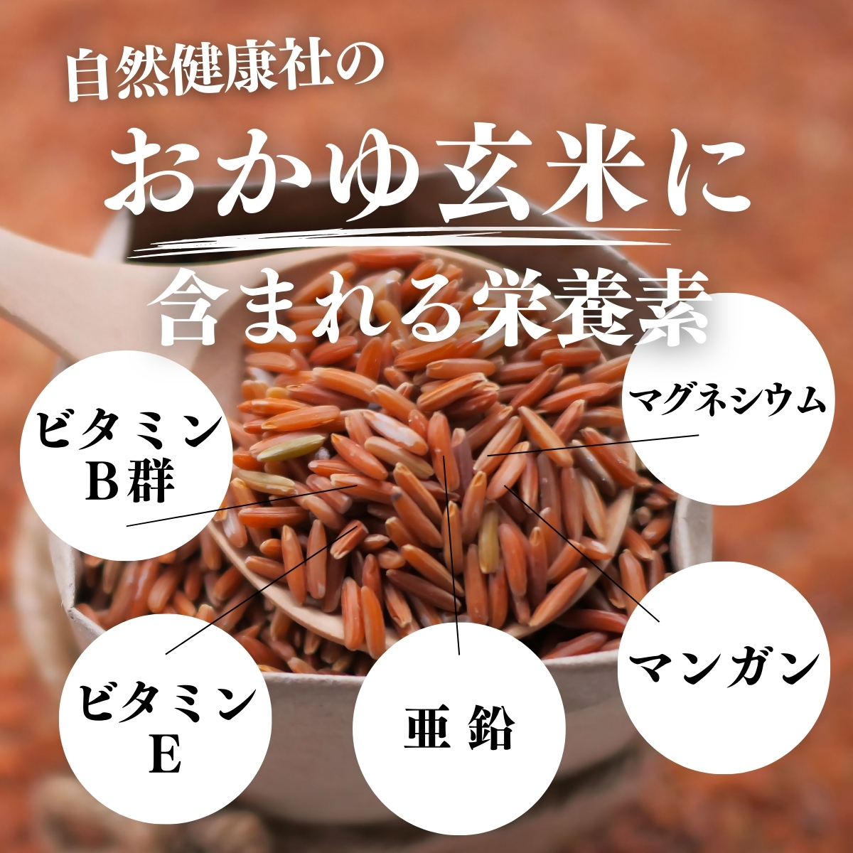 おかゆ玄米に含まれる貴重な栄養成分