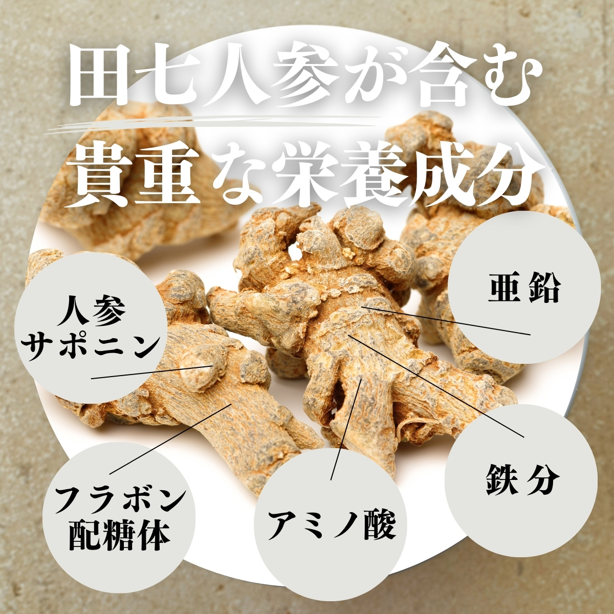 田七人参が含む貴重な栄養成分