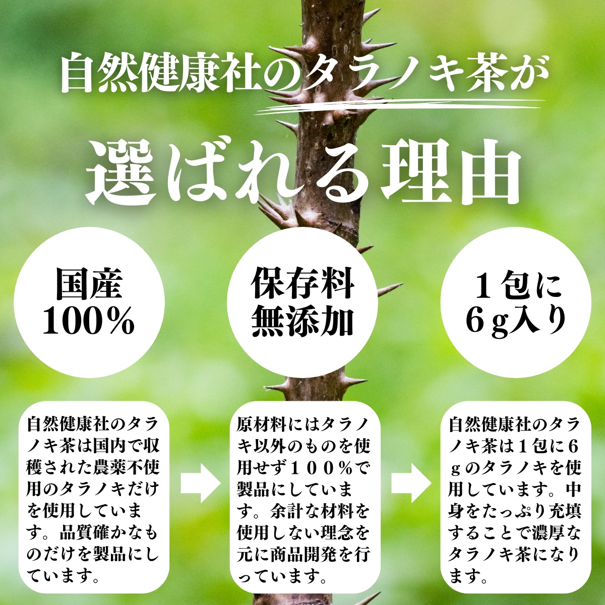 北海道産 天然 たらの木 乾燥 ３キロ 北海道産 天然 たらの木 乾燥 3キロの通販 by atomic shop｜ラクマ