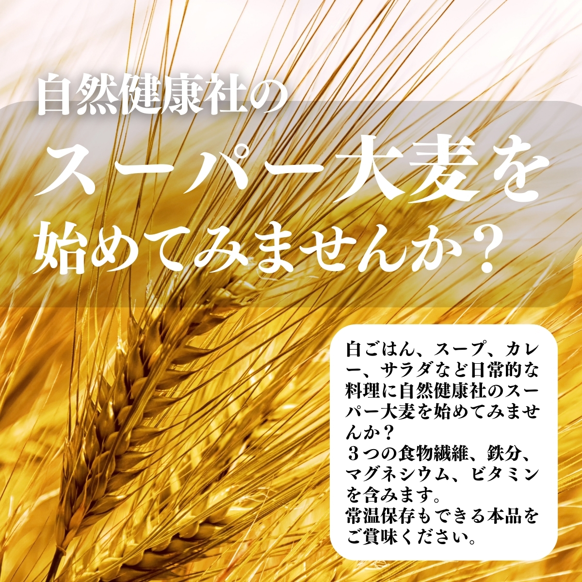 スーパー大麦をはじめてみませんか？