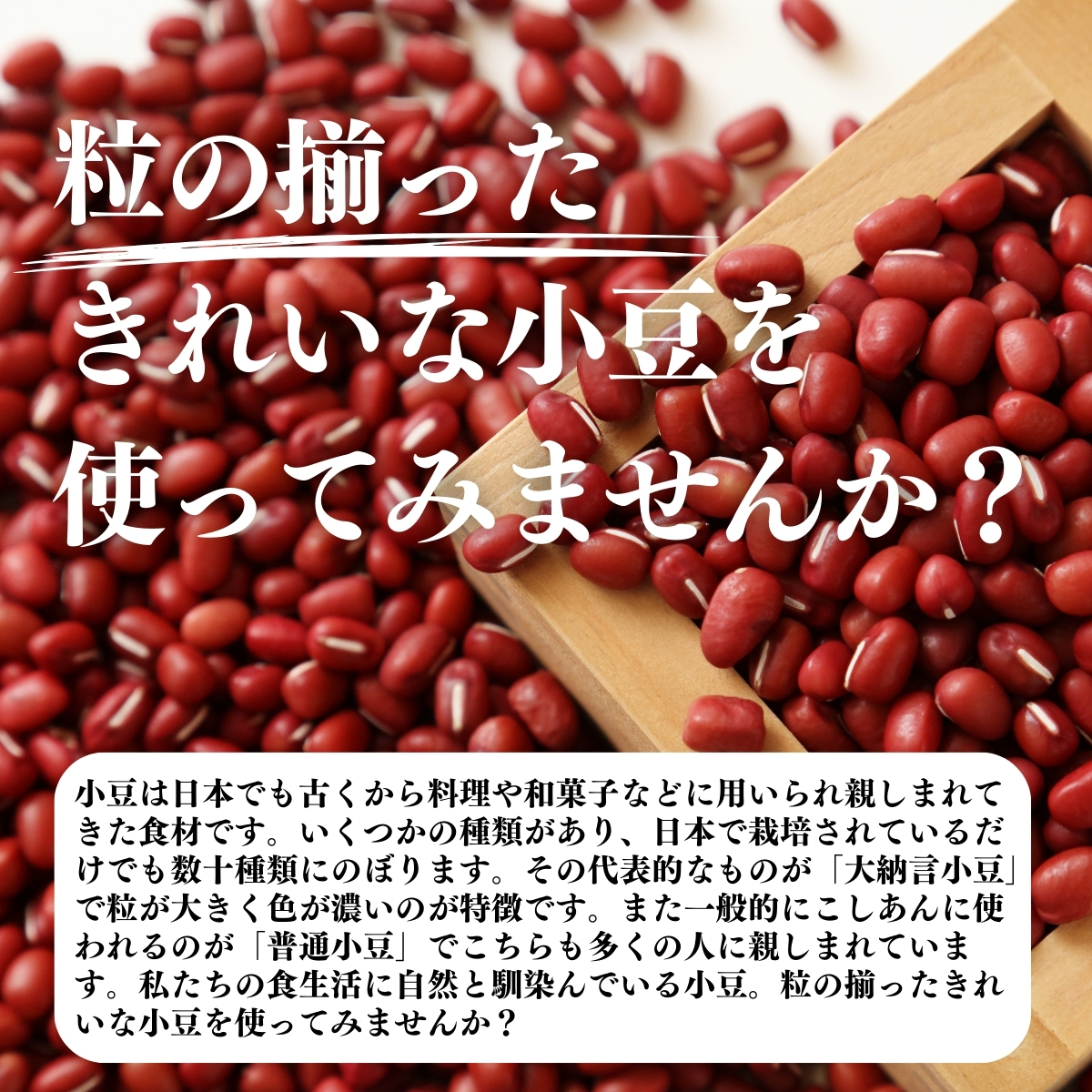 きれいな小豆を使ってみませんか？