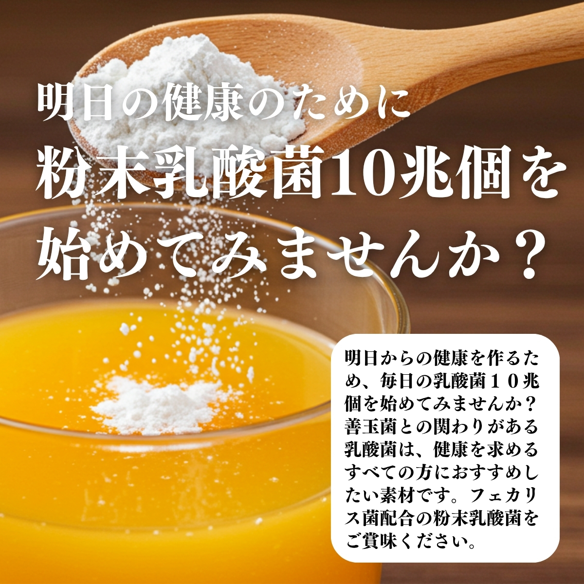 自然健康社 粉末乳酸菌 10兆個 1kg×4個 乳酸菌 サプリ サプリメント