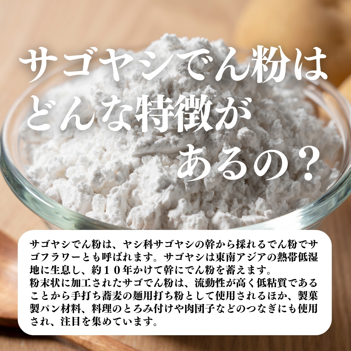 サゴヤシでん粉はどんな特徴があるの？