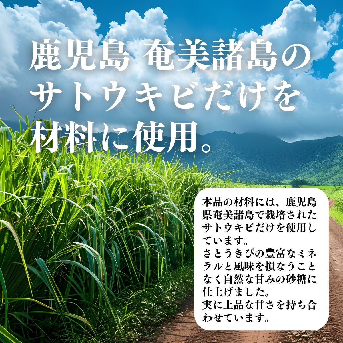 鹿児島 奄美諸島のサトウキビだけを材料に使用