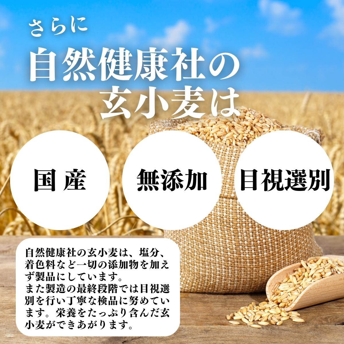 玄小麦 2kg 全粒小麦 国産 北海道産 きたほなみ 業務用 食物繊維 送料無料 : free-825 : 青汁・健康粉末の健康生活研究所 - 通販  - Yahoo!ショッピング