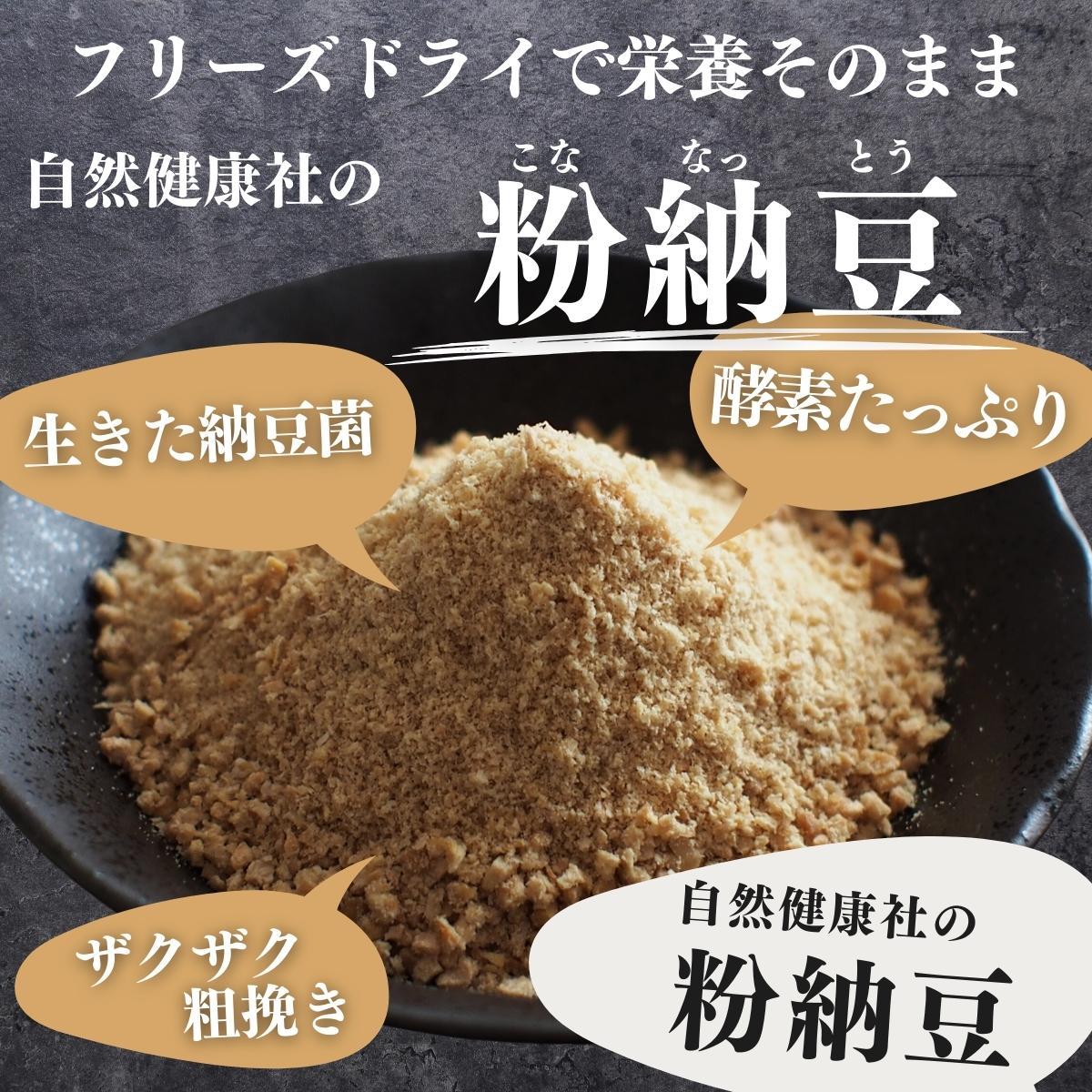 粉納豆 100g×10個 粉末 粗挽き 粉末 納豆 なっとう フリーズドライ