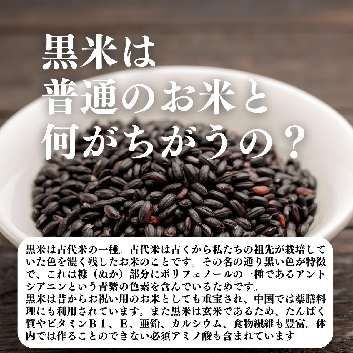 黒米は普通のお米と何がちがうの？