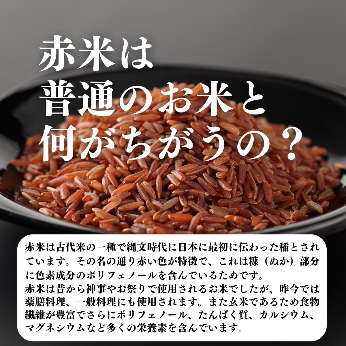 赤米は普通のお米と何がちがうの？