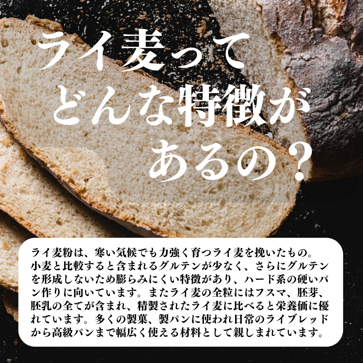 ライ麦ってどんな特徴があるの？