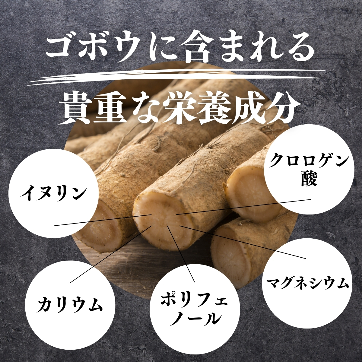 ゴボウに含まれる貴重な栄養成分