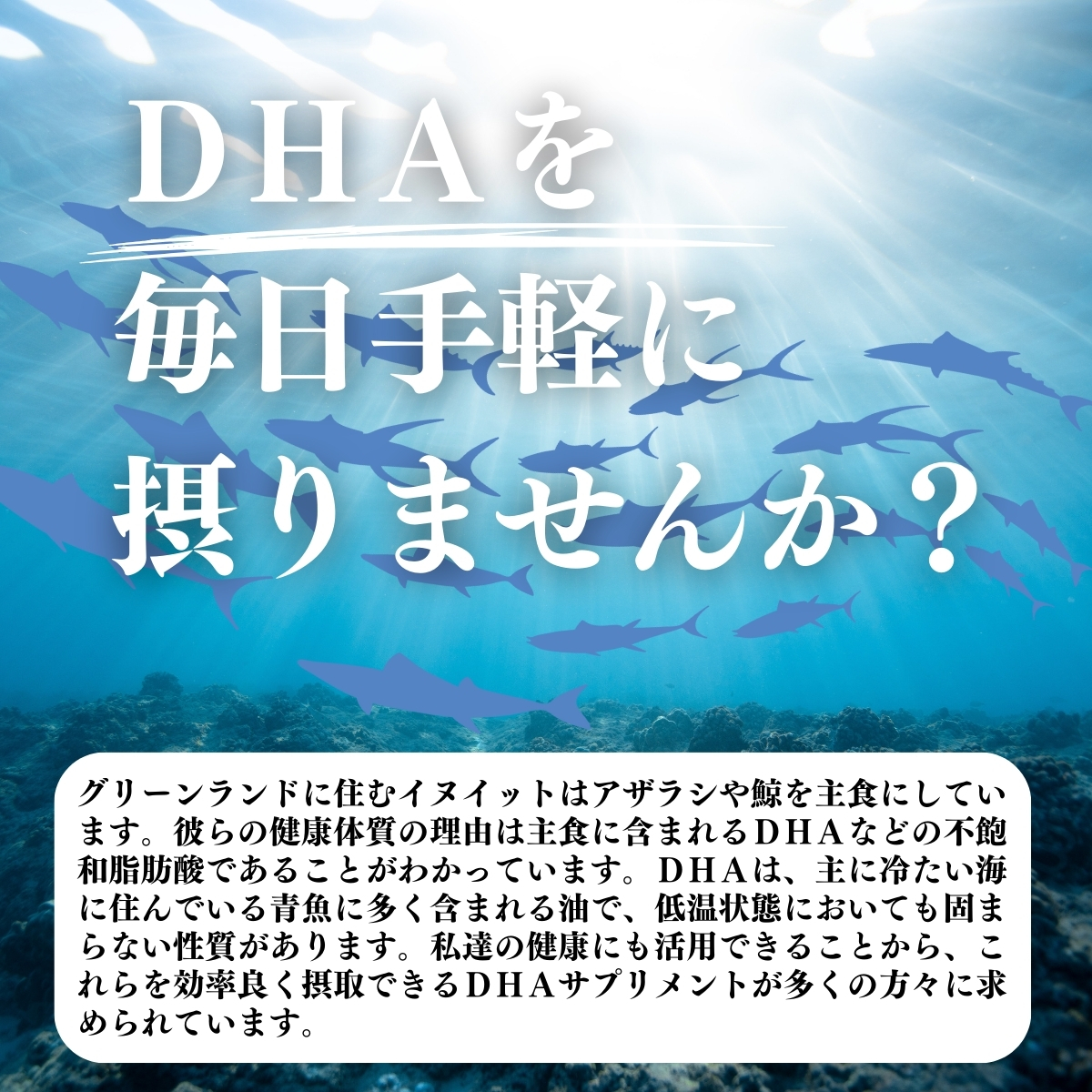 ＤＨＡを毎日手軽に摂りませんか？