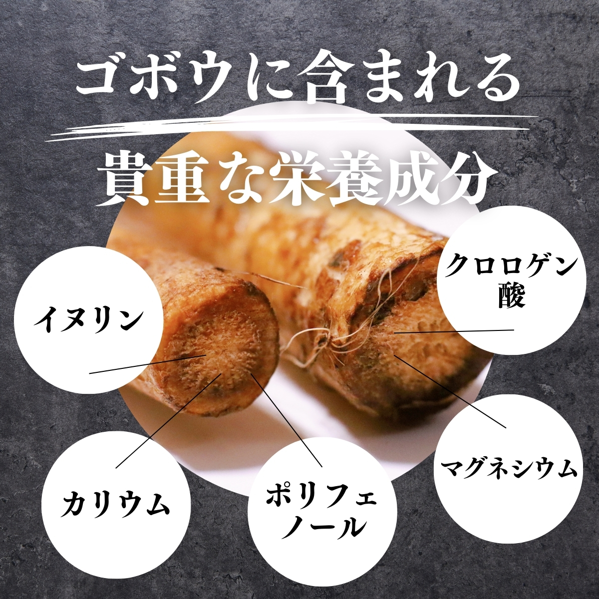 ゴボウに含まれる貴重な栄養成分