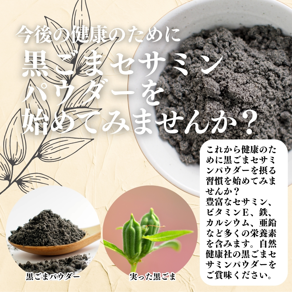 黒ごまセサミンパウダーを始めませんか