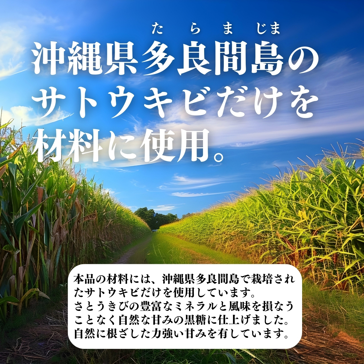 沖縄多良間島のサトウキビだけを材料に使用