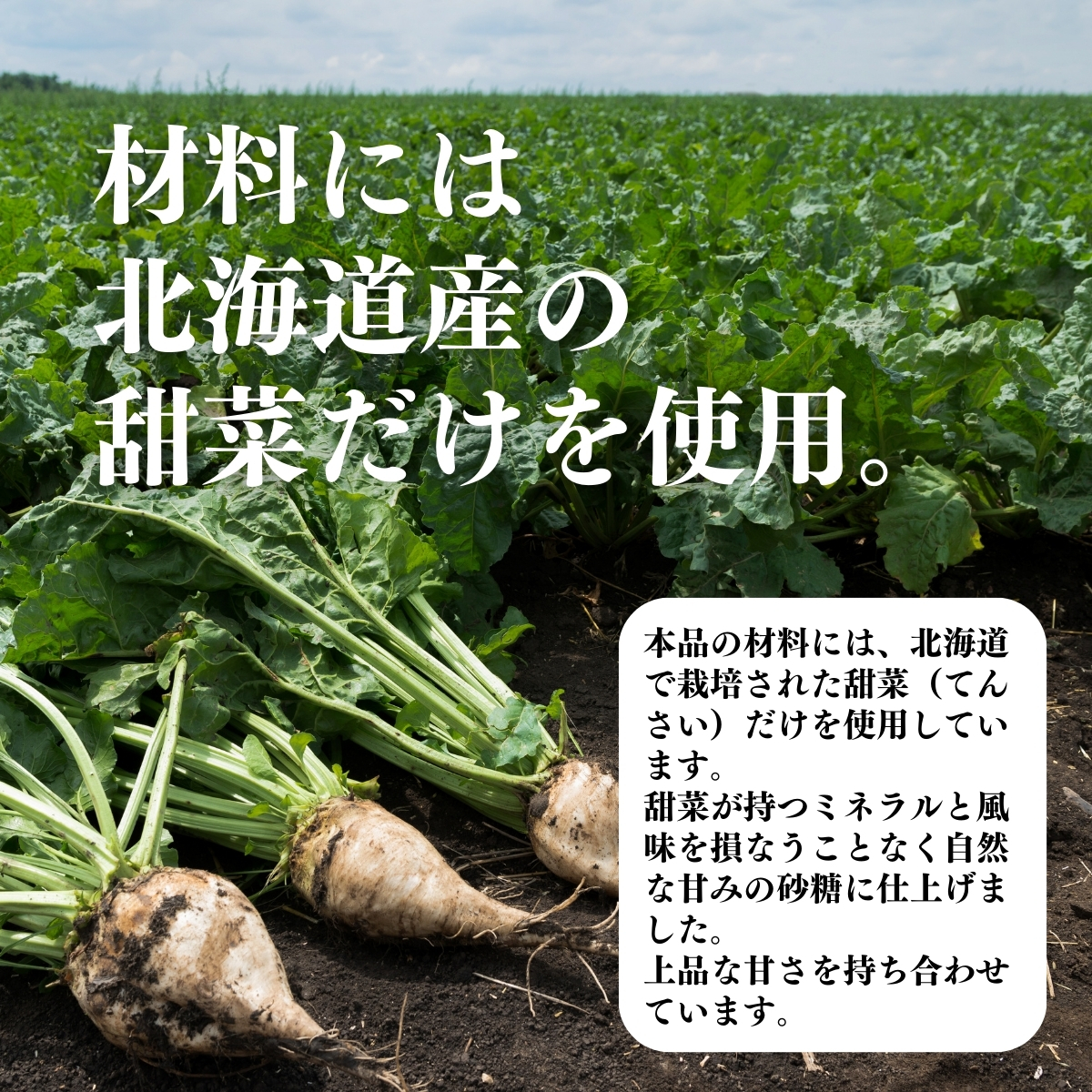 材料には北海道産の甜菜だけを使用