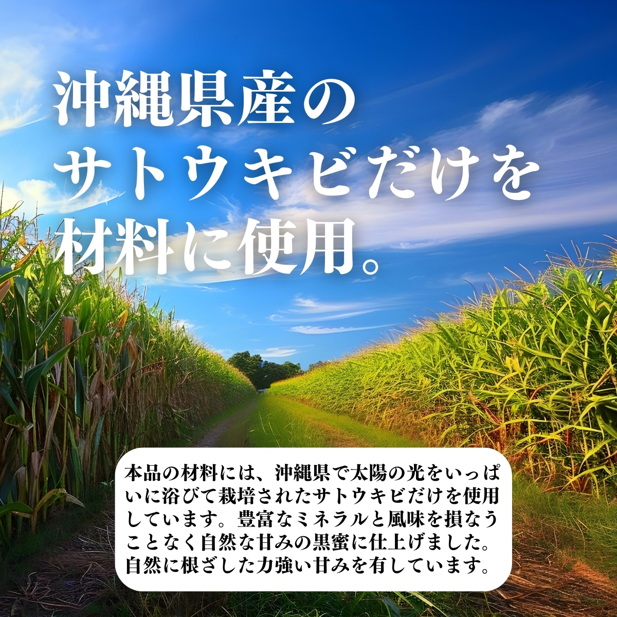 沖縄県産のサトウキビだけを材料に使用