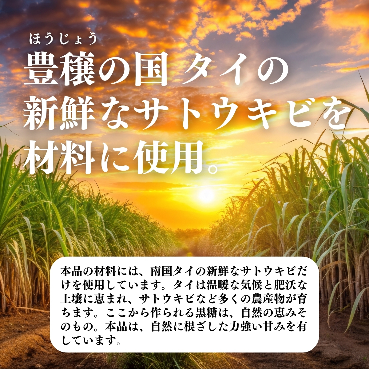 タイの新鮮なサトウキビを材料に使用