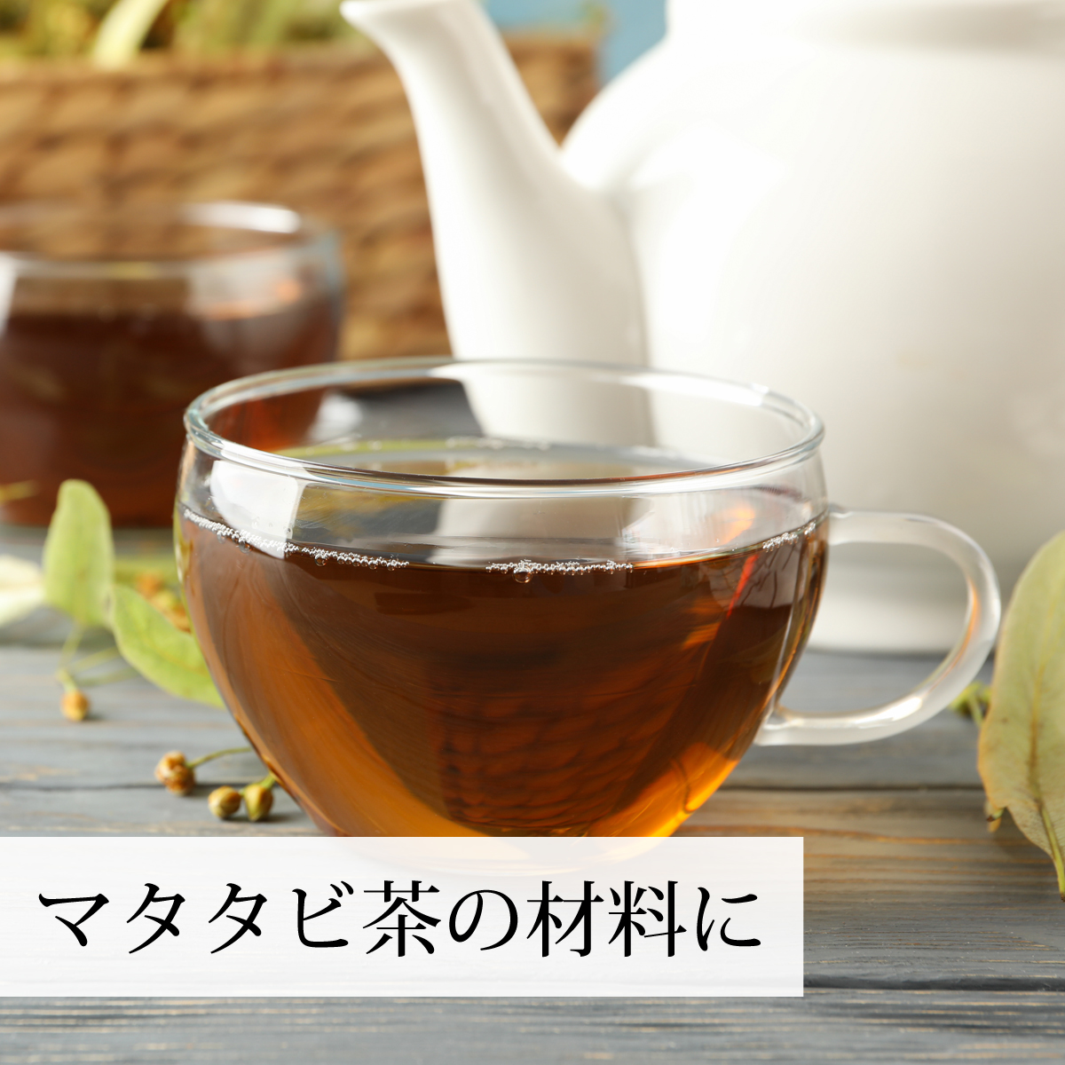 マタタビ茶の材料に