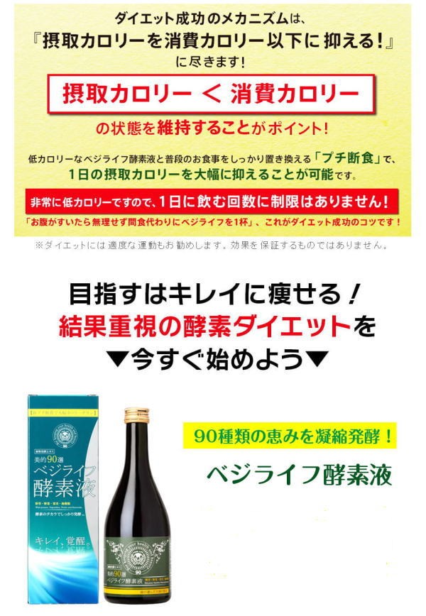 ベジライフ酵素液 500ml×2本セット 健康ドリンク 健康飲料 ベジライフ