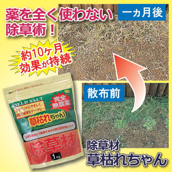 除草剤 草枯れちゃん 1kg ガーデニング 園芸 非農用地専用 無農薬