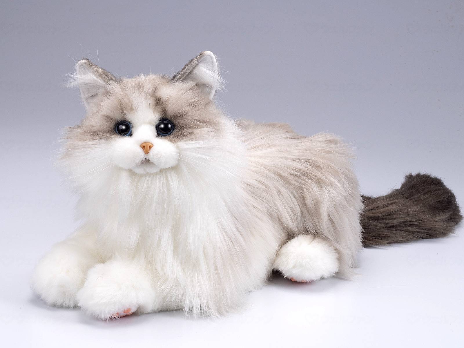 なでなでねこちゃんEX ぬいぐるみ 猫 ねこ ネコ 代理 ペット 声 撫でる