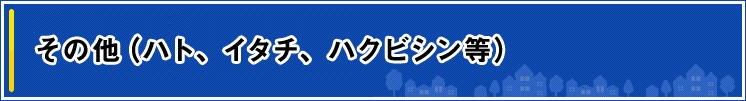 タイトル画像