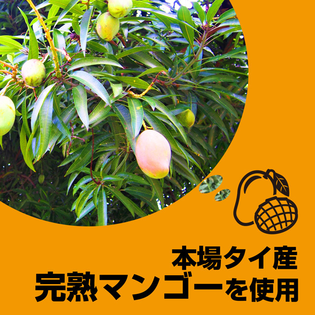 送料無料