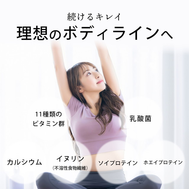 置き換えダイエット