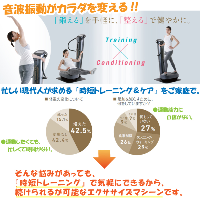 フジ医療器 ダイエット トレーナー コア DT-C1000 音波振動 トレーニング 家トレ 首 腰 太もも お尻 ふくらはぎ 足 ストレス解消 体幹  : dt-c1000 : Atelier Easel - 通販 - Yahoo!ショッピング