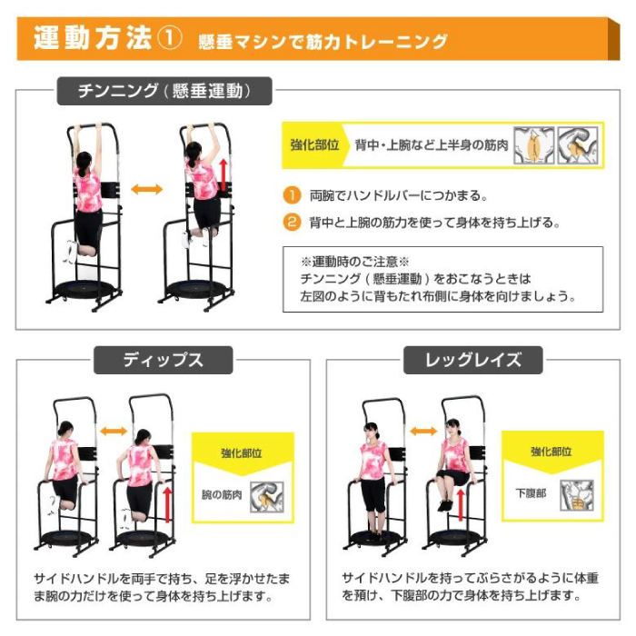 ALINCO（アルインコ） バランスウォーク EX8017 懸垂マシン ぶら下がり