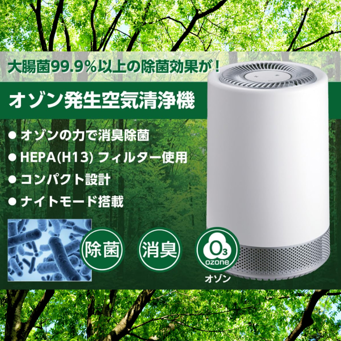 デレクト・ビュー オゾン発生器 空気清浄機 小型 除菌 脱臭