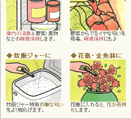野菜・果物、炊飯ジャー、花瓶・金魚鉢にザ・備長炭　ミニ