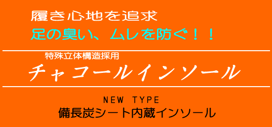 備長炭消臭中敷　チャコールインソール