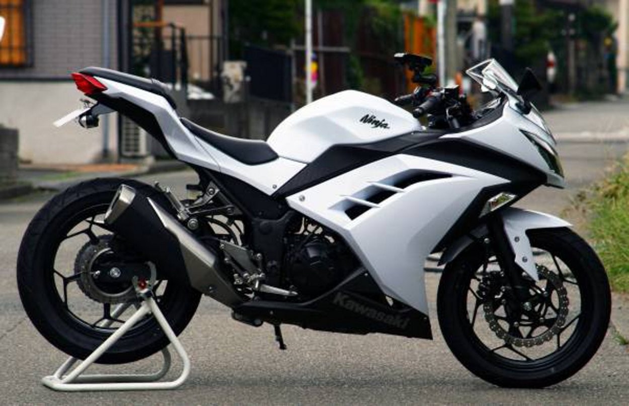 カワサキ（Kawasaki） 13〜17 Ninja250 / Z250 フェンダーレスキット