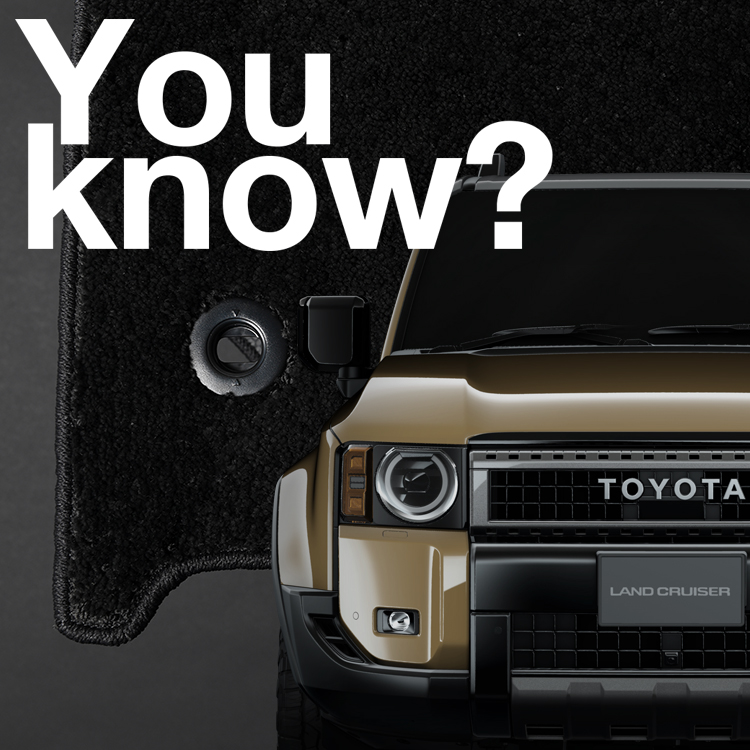 �����i�� �V�^ �����h�N���[�U�[ 250 �n 7�l��� �t���A�}�b�g �� �t���A �}�b�g ���O�}�b�g �u���b�N ���{�� �����N�� 250 �n �x�[�X�O���[�h