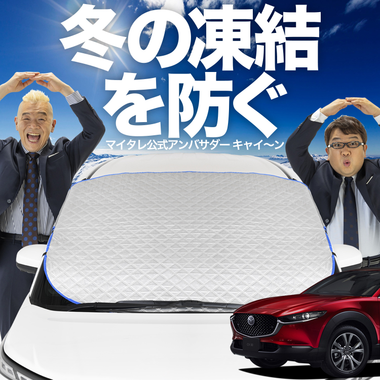 新発売 CX-30 DMEP/DM8P/DMFP型 DMEP DM8P DMFP フロント ガラス 凍結