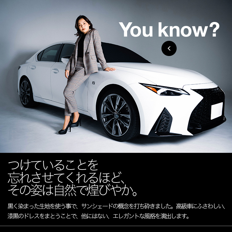 レクサス ES ES300h LEXUS 高級 フロント ガラス カバー 凍結防止