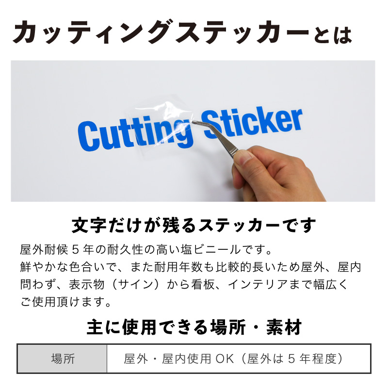 カッティングシート ステッカー 文字 文字シール 名前 車 ポスト