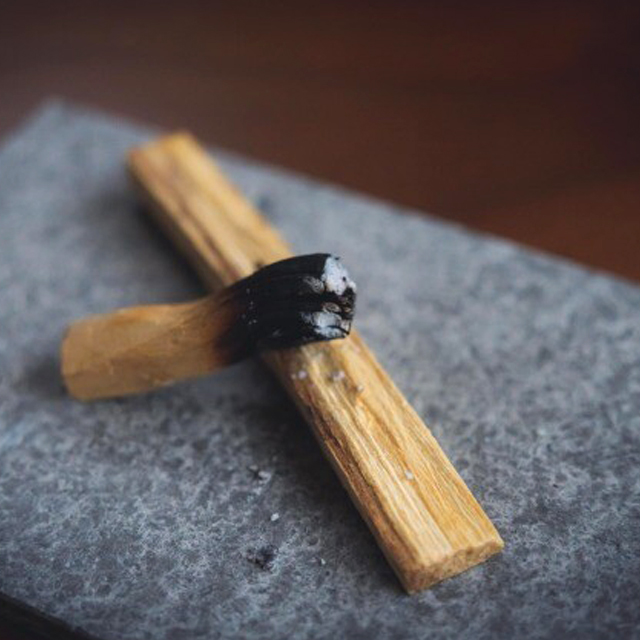 パロサント スティック 香木 4本入 Divina Palo Santo 聖なる木 ヨガ