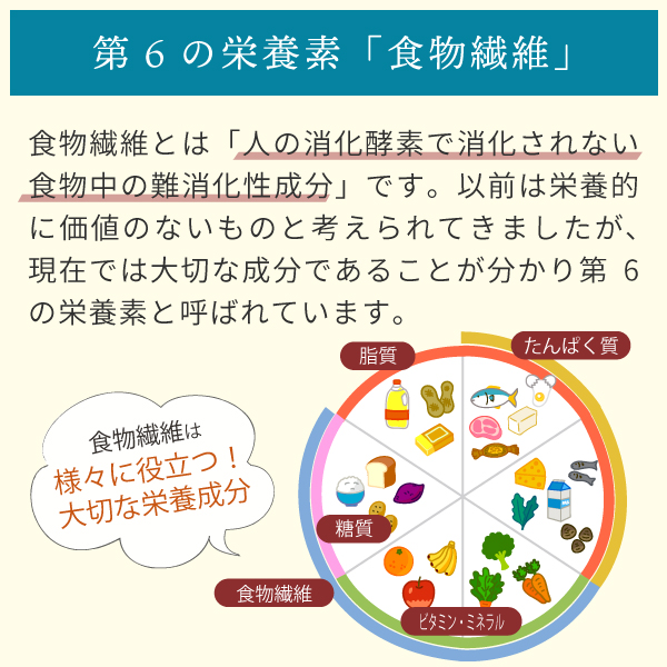 第6の栄養素「食物繊維」とは