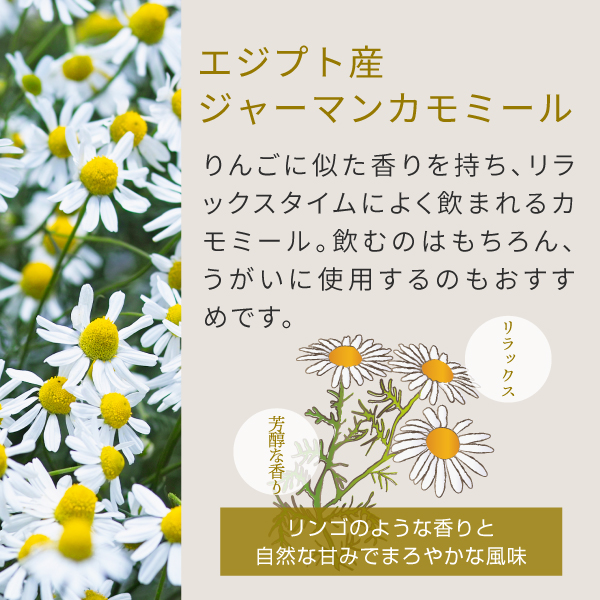 カモミールジャーマン