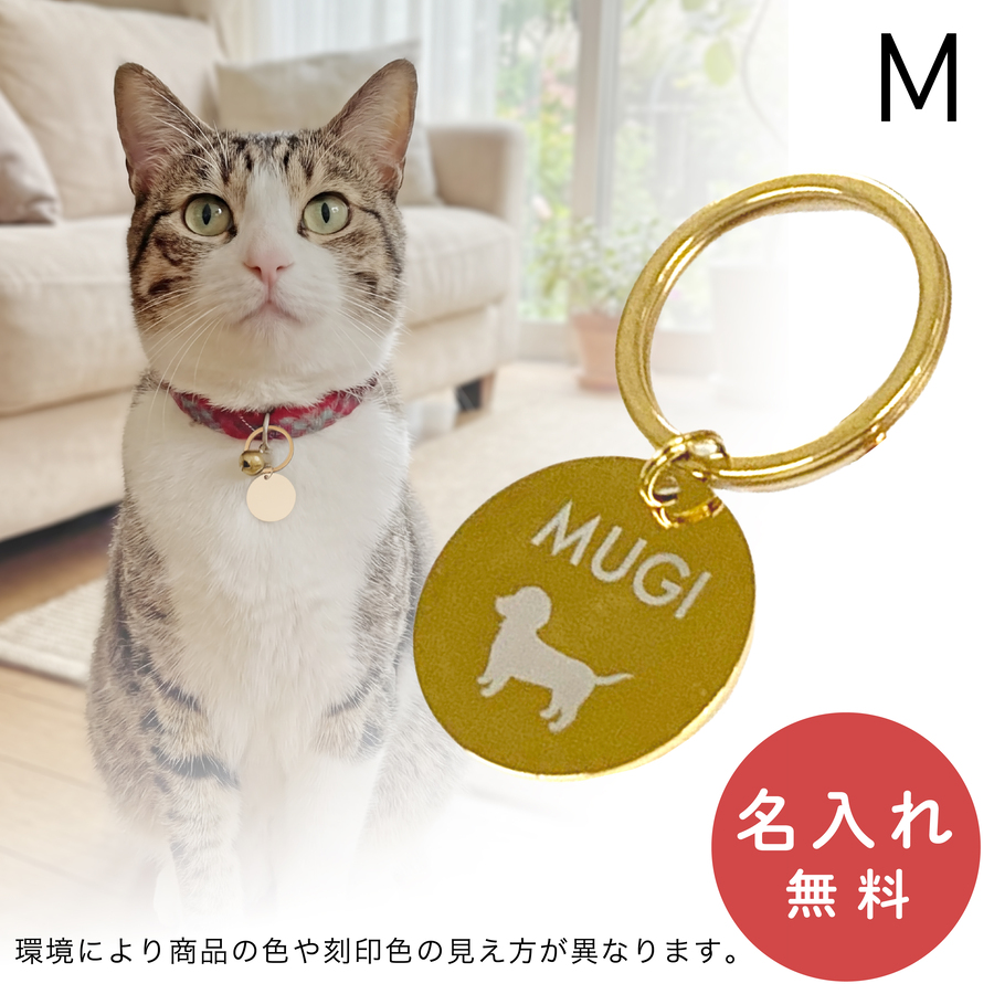 迷子札 犬 猫 ステンレス ネームタグ ラウンド 丸型 名入れ ペット