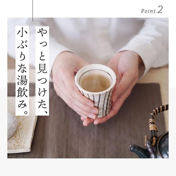 湯呑み 湯のみ 湯飲み 和食器 セット マルチミニカップ 5客組 120cc