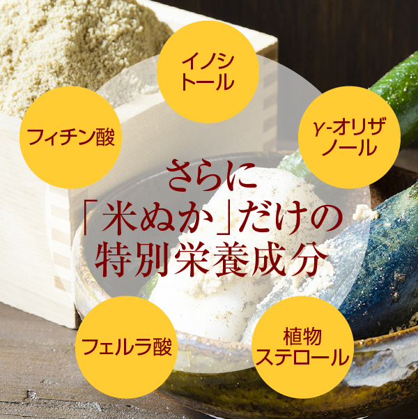 食べる 米ぬかパウダー 食用 100g 国産 飲める米ぬか 粉末｜hogarakagenki｜09