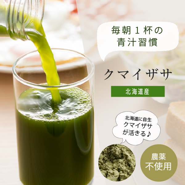 クマイザサ 青汁 400g 北海道産（クマザサ青汁 国産 パウダー クマザサ茶 熊笹茶）｜hogarakagenki｜02