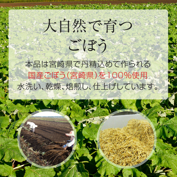 国産 黒豆 ごぼう茶 ティーパック 2.5g×30個 丹波産 黒大豆 宮崎県産 焙煎 ゴボウ茶（ティーバッグ）｜hogarakagenki｜05