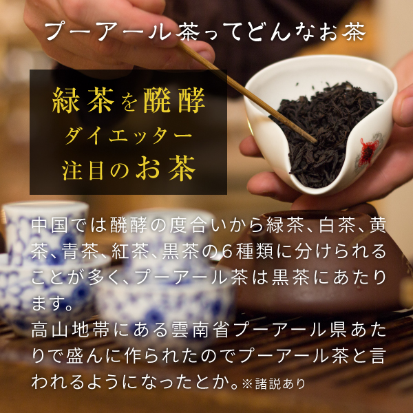 プーアール茶ってどんなお茶