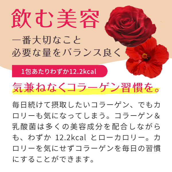 コラーゲン 乳酸菌 粉末 サプリメント スティック 30包（コラーゲンペプチド プラセンタ ヒアルロン酸 エラスチン collagen）｜hogarakagenki｜06